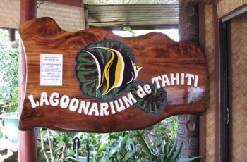 Lagoonarium de Tahiti ͼƬ