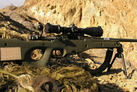精准国际7.62毫米PM狙击步枪系统